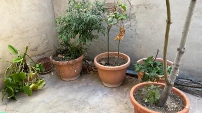 House in San Roque photo 11