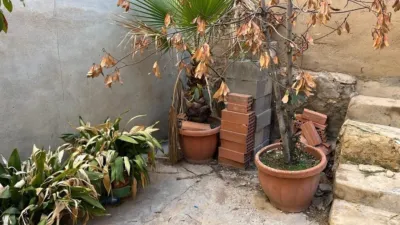 House in San Roque photo 12