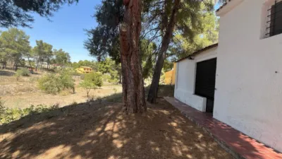 Chalet in Las Fuentecicas photo 26