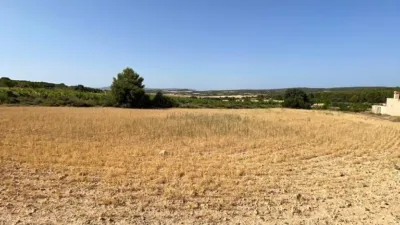 Rustic Finca in Castilla La Mancha photo 24