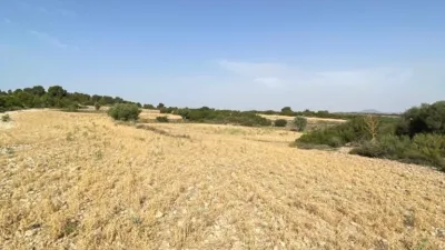 Rustic Finca in Castilla La Mancha photo 31