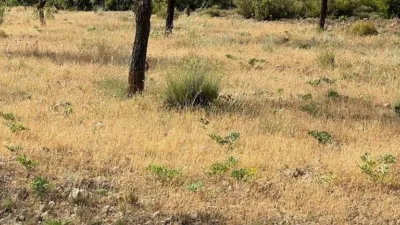 Rustic Finca in Castilla La Mancha photo 32