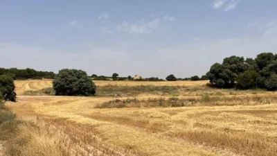 Rustic Finca in Castilla La Mancha photo 34