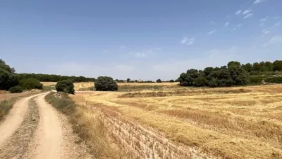 Rustic Finca in Castilla La Mancha photo 36