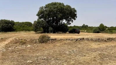 Rustic Finca in Castilla La Mancha photo 39