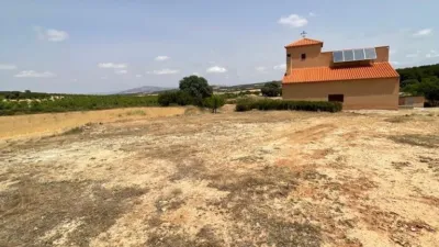 Rustic Finca in Castilla La Mancha photo 3