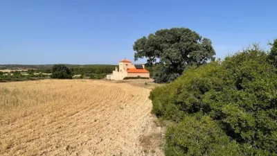 Rustic Finca in Castilla La Mancha photo 40