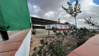 Chalet in Castilla La Mancha photo 24