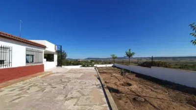 Chalet in Castilla La Mancha photo 43