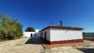 Chalet in Castilla La Mancha photo 6