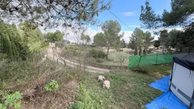 Chalet en Castilla La Mancha photo 14