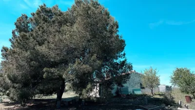 Chalet en venta en Castilla La Mancha - View 5