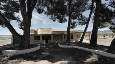 House in Almansa, Albacete - View 3
