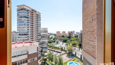 Duplex on Avenida de Cataluña photo 13