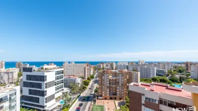 Duplex on Avenida de Cataluña photo 26