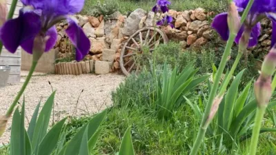 Finca rústica en Cataluña photo 52