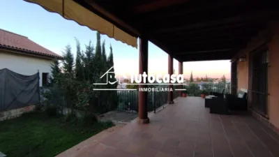 Chalet in Olivar de Quintos photo 14