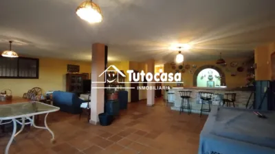 Chalet in Olivar de Quintos photo 35