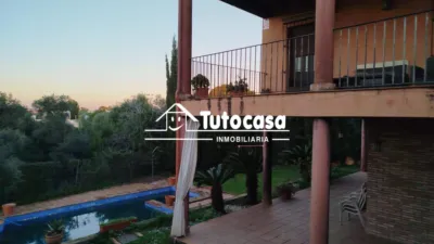 Chalet in Olivar de Quintos photo 37