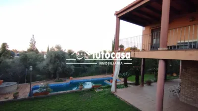 Chalet in Olivar de Quintos photo 46