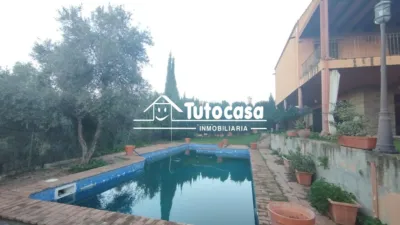 Chalet in Olivar de Quintos photo 47