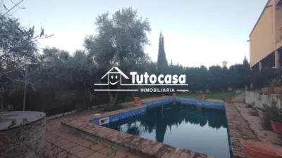 Chalet in Olivar de Quintos photo 48