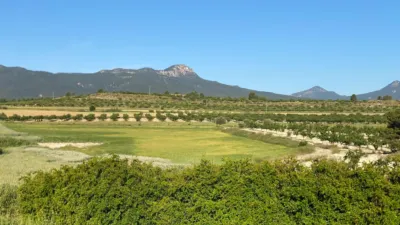 Chalet in Moratalla photo 12