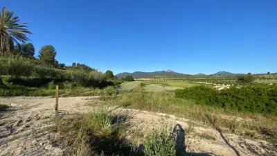 Chalet in Moratalla photo 13