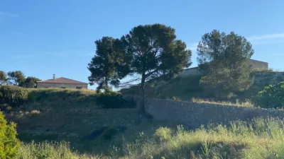 Chalet in Moratalla photo 16