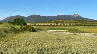 Chalet in Moratalla photo 17