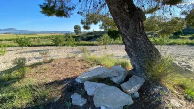 Chalet in Moratalla photo 20