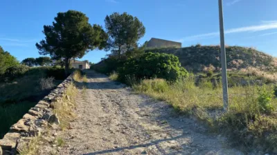 Chalet in Moratalla photo 3