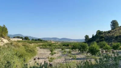 Chalet in Moratalla photo 75