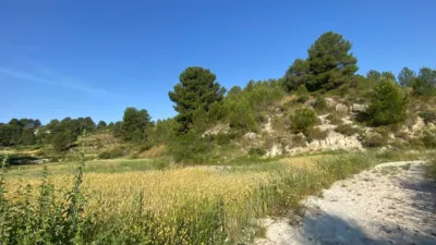 Chalet in Moratalla photo 76