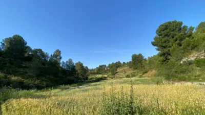 Chalet in Moratalla photo 77