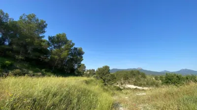 Chalet in Moratalla photo 78