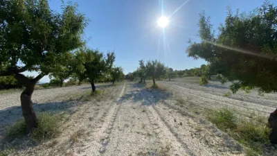 Chalet in Moratalla photo 79