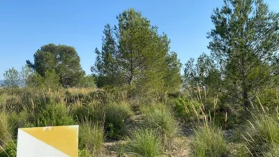 Chalet in Moratalla photo 7