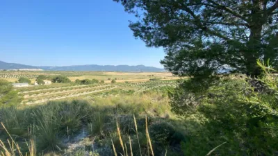 Chalet in Moratalla photo 82