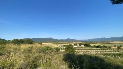 Chalet in Moratalla photo 83