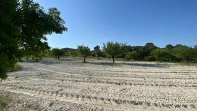 Chalet in Moratalla photo 84