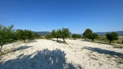 Chalet in Moratalla photo 86