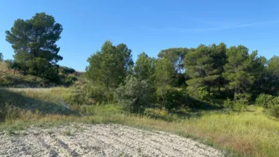 Chalet in Moratalla photo 88