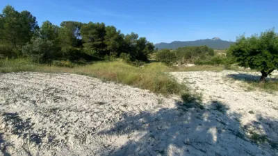 Chalet in Moratalla photo 89