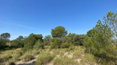 Chalet in Moratalla photo 90