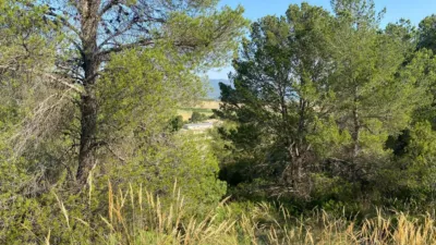 Chalet in Moratalla photo 92