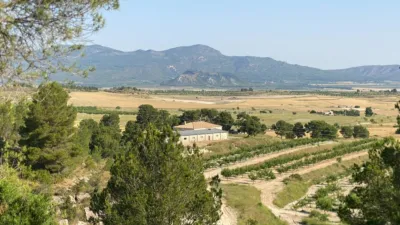 Chalet in Moratalla photo 94