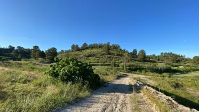 Chalet in Moratalla photo 9