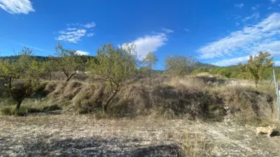 Rustic Finca in Moratalla photo 10