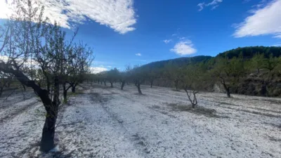 Rustic Finca in Moratalla photo 11